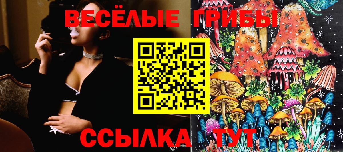 Псилоцибиновые грибы MAGIC MUSHROOMS Щёкино