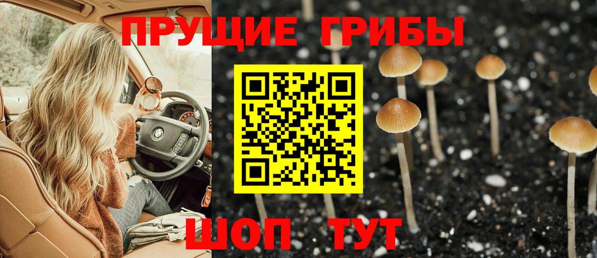 Галлюциногенные грибы Magic Shrooms  где купить наркоту  Вход с VPN  Щёкино  Псилоцибиновые грибы мухоморы 